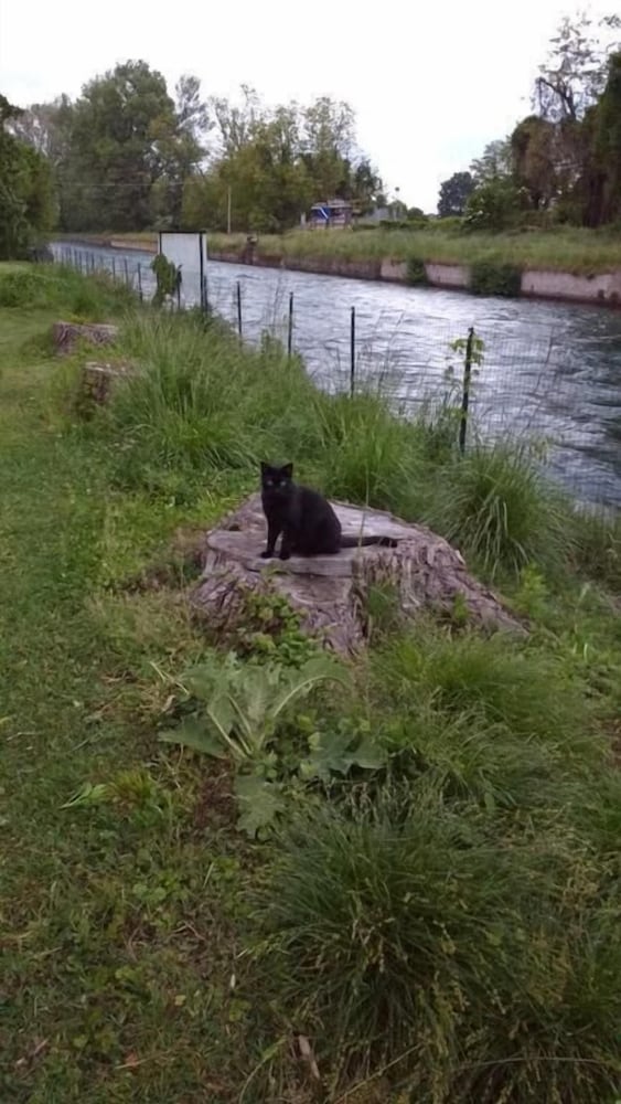Фото Agriturismo Cascina Poscallone