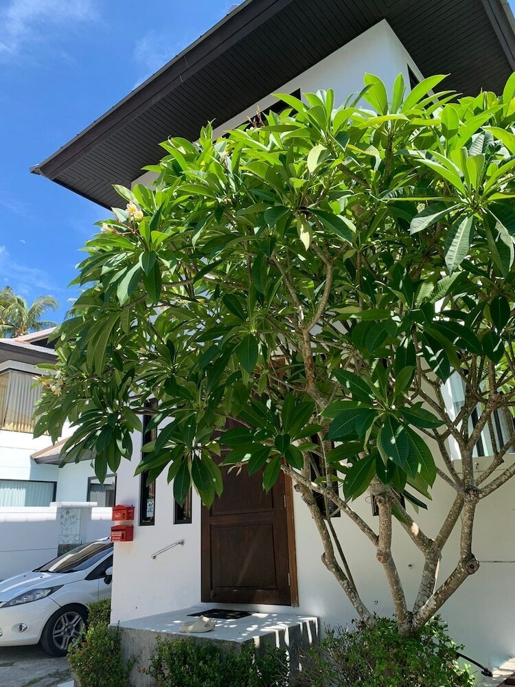 Фото 3 Bedroom Villa Sdv261- Walk to Beach-By Samui Dream Villas