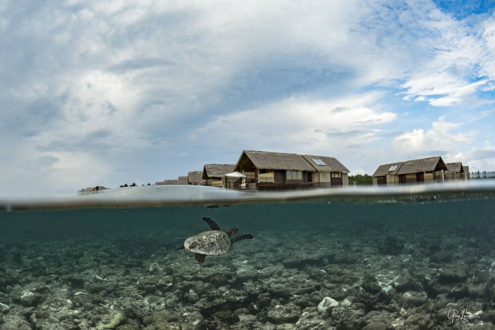 Фото Beach Villas by Shangri-La's Le Touessrok, Mauritius