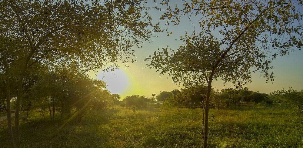 Фото Thihawa Eco Huts Yala