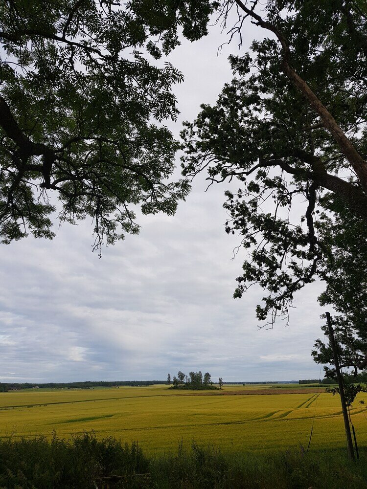 Фото Bröttorps Gård