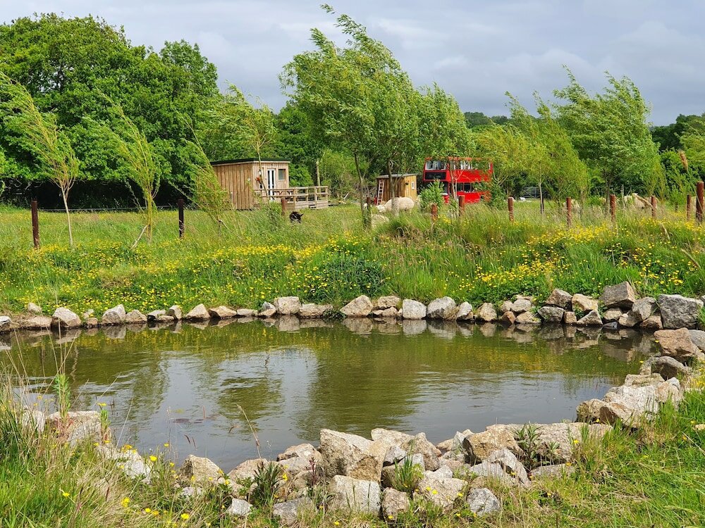 Фото Dartmoor Reach Alpaca Farm