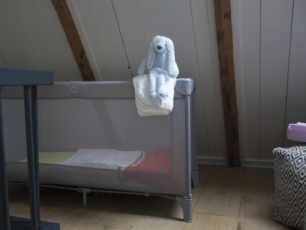 Фото City Centre Guesthouse De Rozenboom