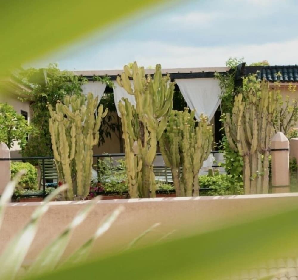 Фото Riad Zouhour