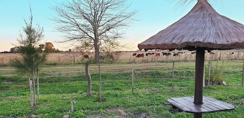 Гостиница La Maina Uribe Posada y Cabañas