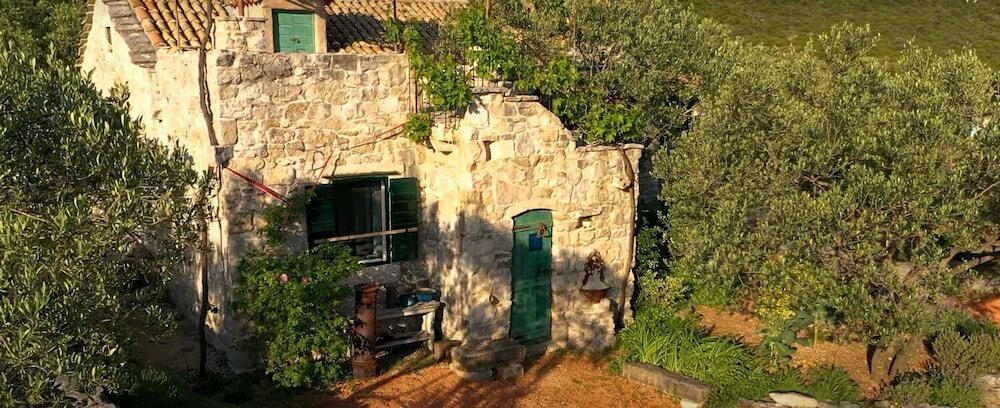 Фото Lavender - Traditional Tranquility - H