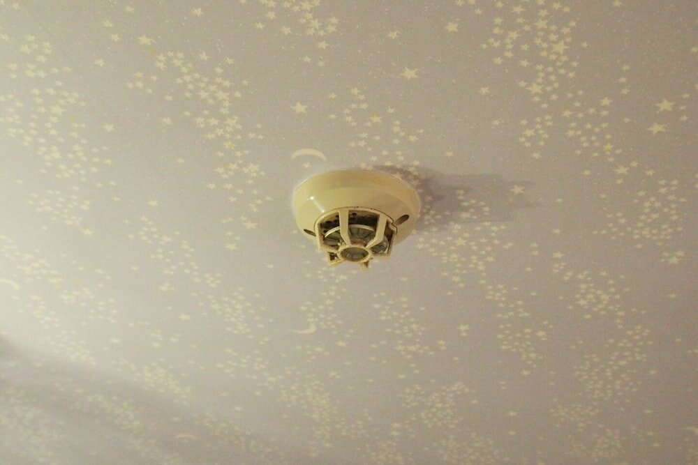 Фото Mifune Central-Bear Shimanouchi No. 2 Hotel