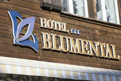 Гостиница Hotel Blumental