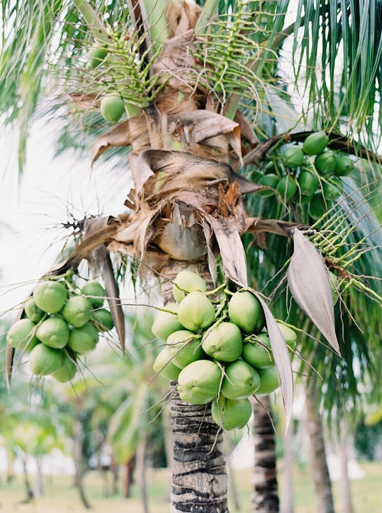 Фото Отель The Sunset Cove And Rainbow Room