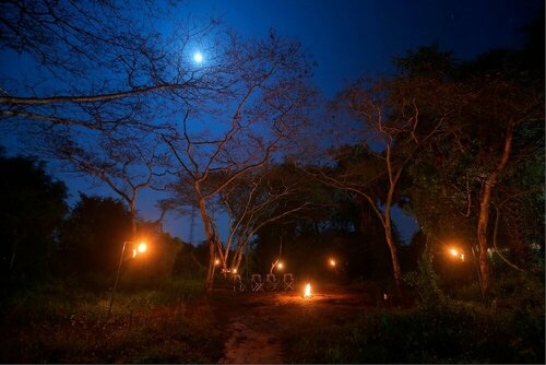 Гостиница Wilpattu Safari Camp - Campground
