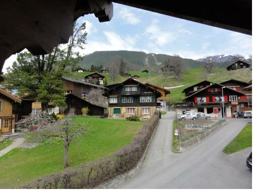 Гостиница Steinbock Hotel Grindelwald в Гриндельвальде