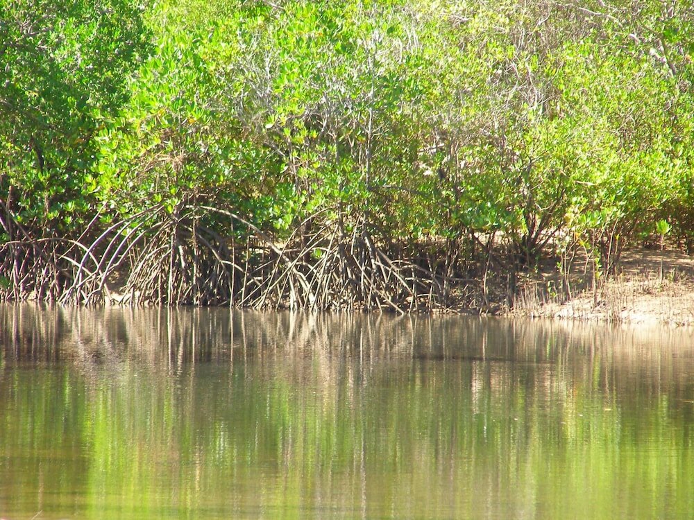Фото Wagait Beach Holiday Houses