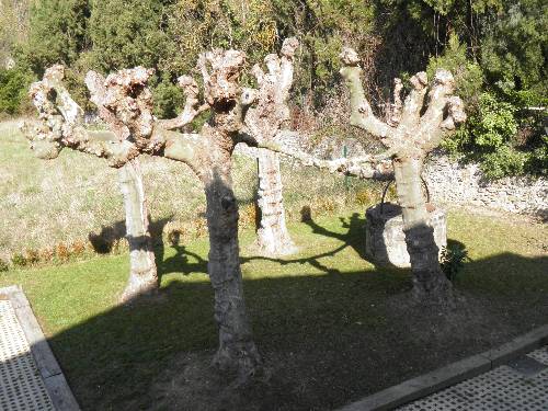 Фото Hotel Restaurante Aldama