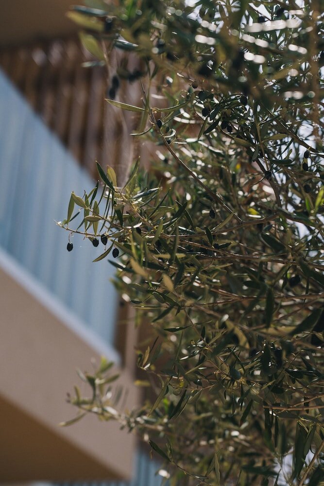 Фото The Nest Resort