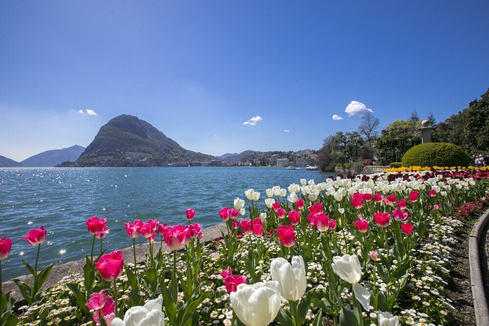 Фото Franklin House