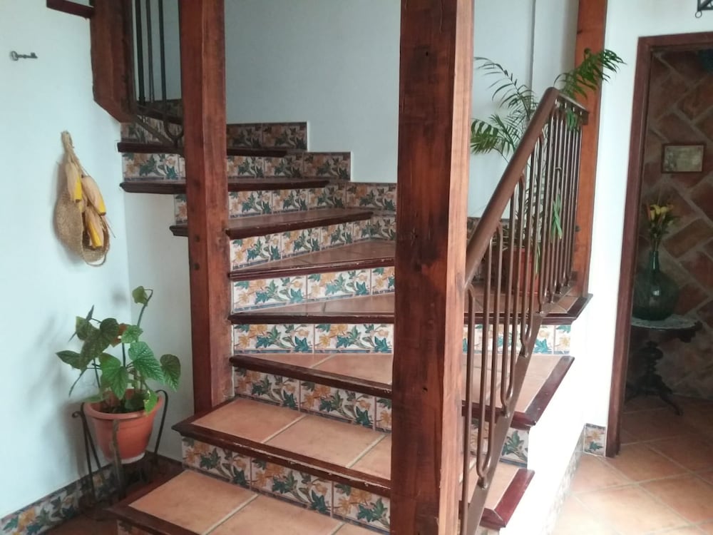 Фото El Perro de Paterna