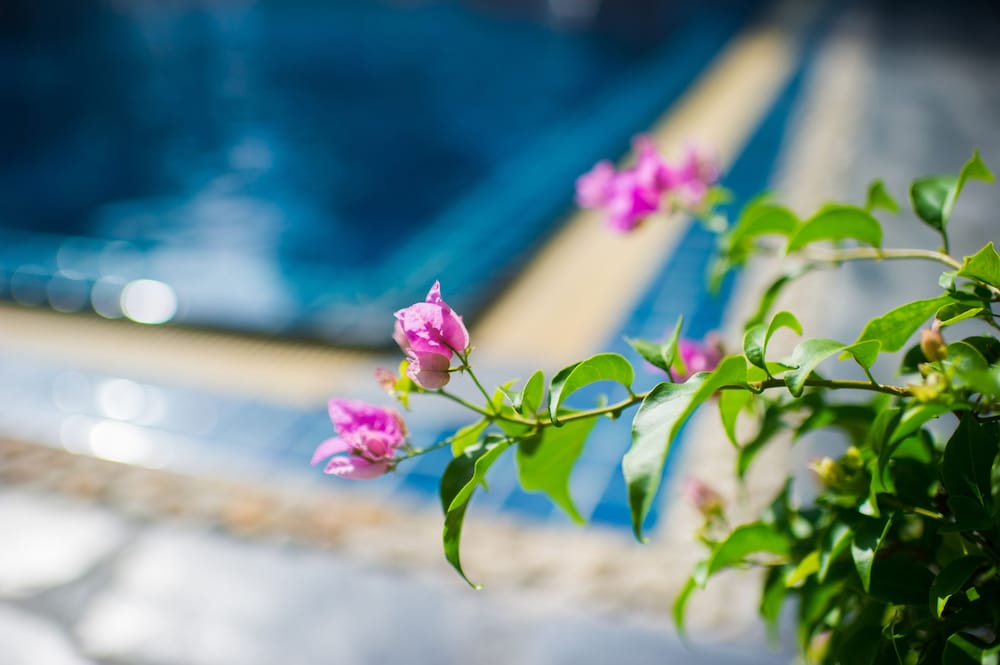 Фото PK Resort Pattaya