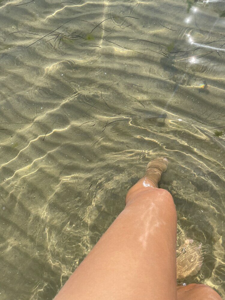 Фото Marty's Beachfront Smart Homes