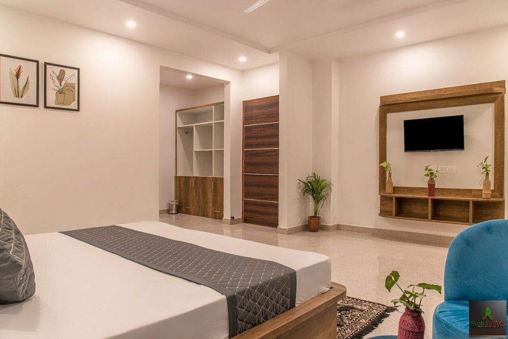 Фото The Cloud Berry