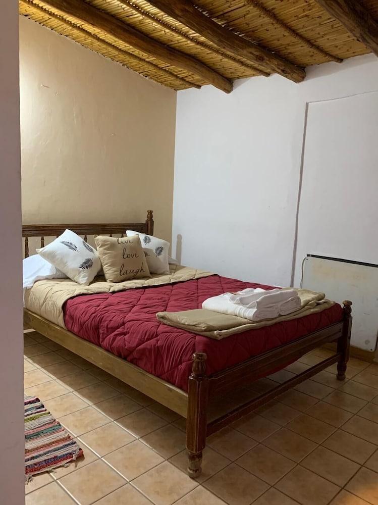 Фото Hotel Cactus Plaza