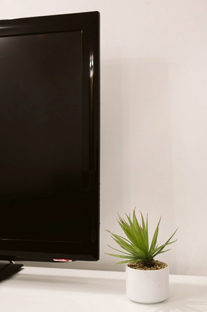 Фото Lazar 18 Apartment