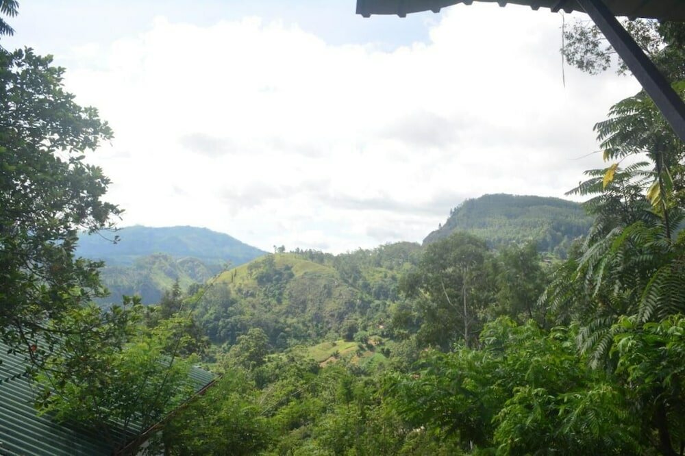 Фото Cloudy Hill Cottage