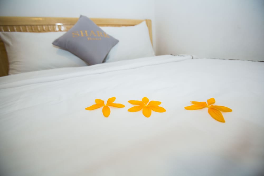 Фото Shark Hotel - Hostel