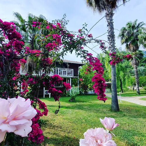 Внешний вид отеля Club Sun Village в Кумлудже, фото 5