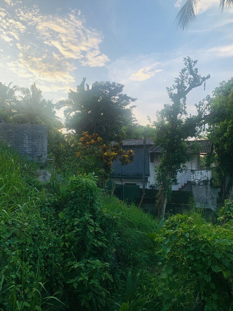 Фото Jungle City Hostel