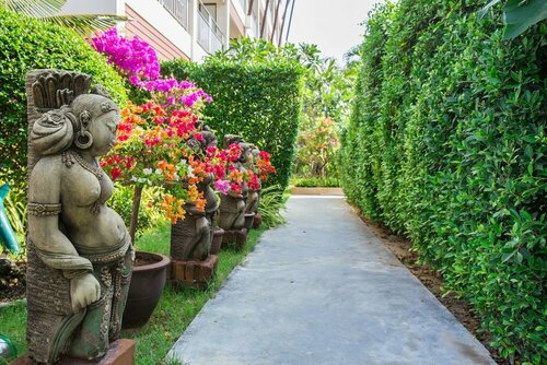 Внешний вид отеля Lamai Coconut Beach Resort в Ламае, фото 3