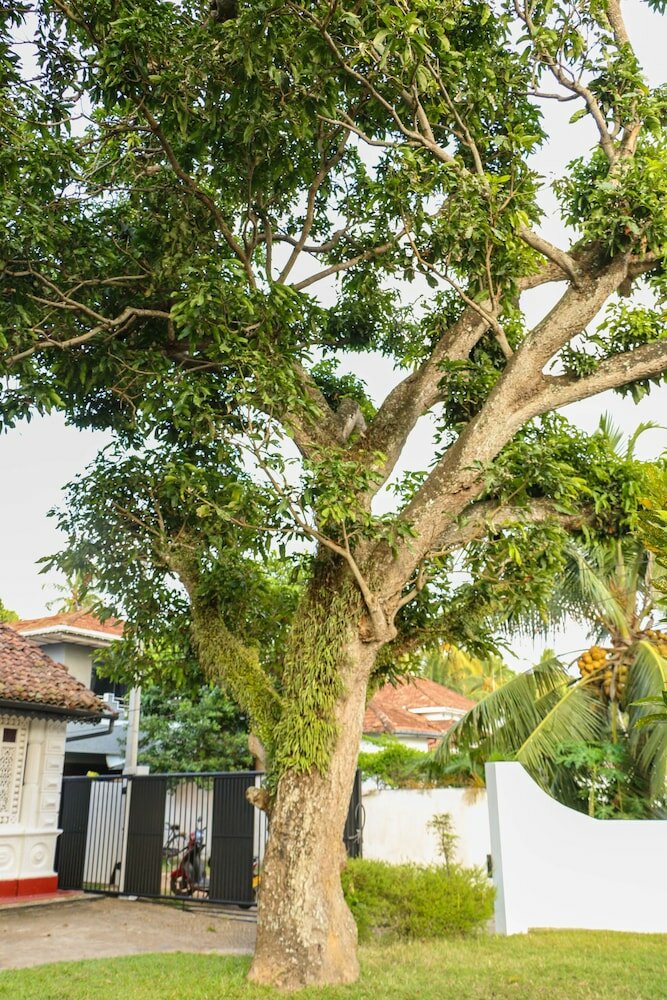 Фото Villa Rosa Blanca - White Rose