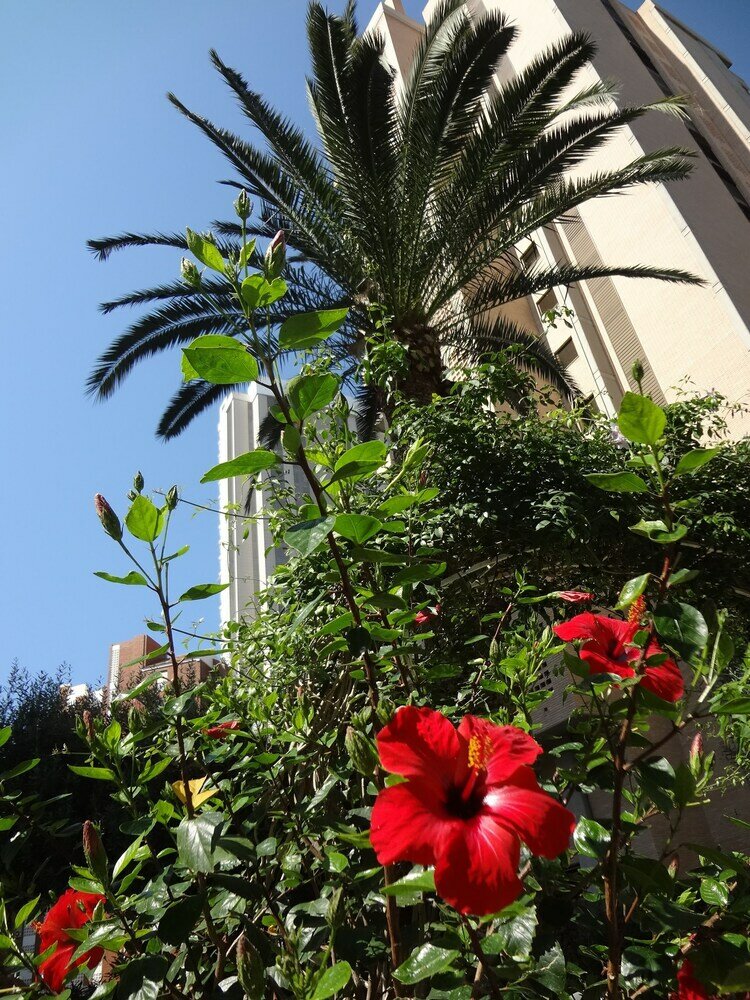 Фото Best View Welcome Apartamentos Karola