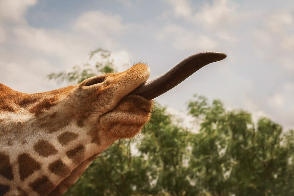 Фото Blue Hills Ranch