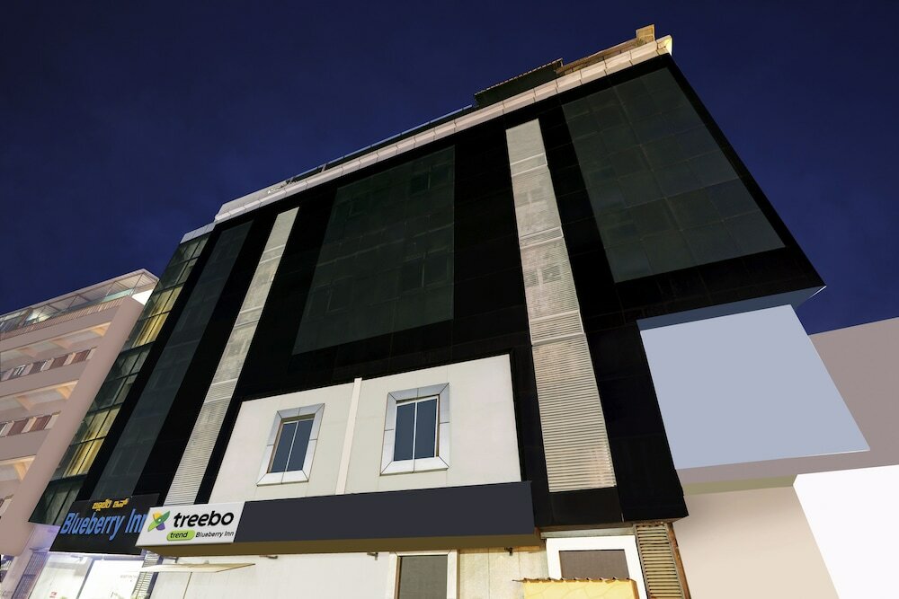 Фото Treebo Trend Blueberry Inn