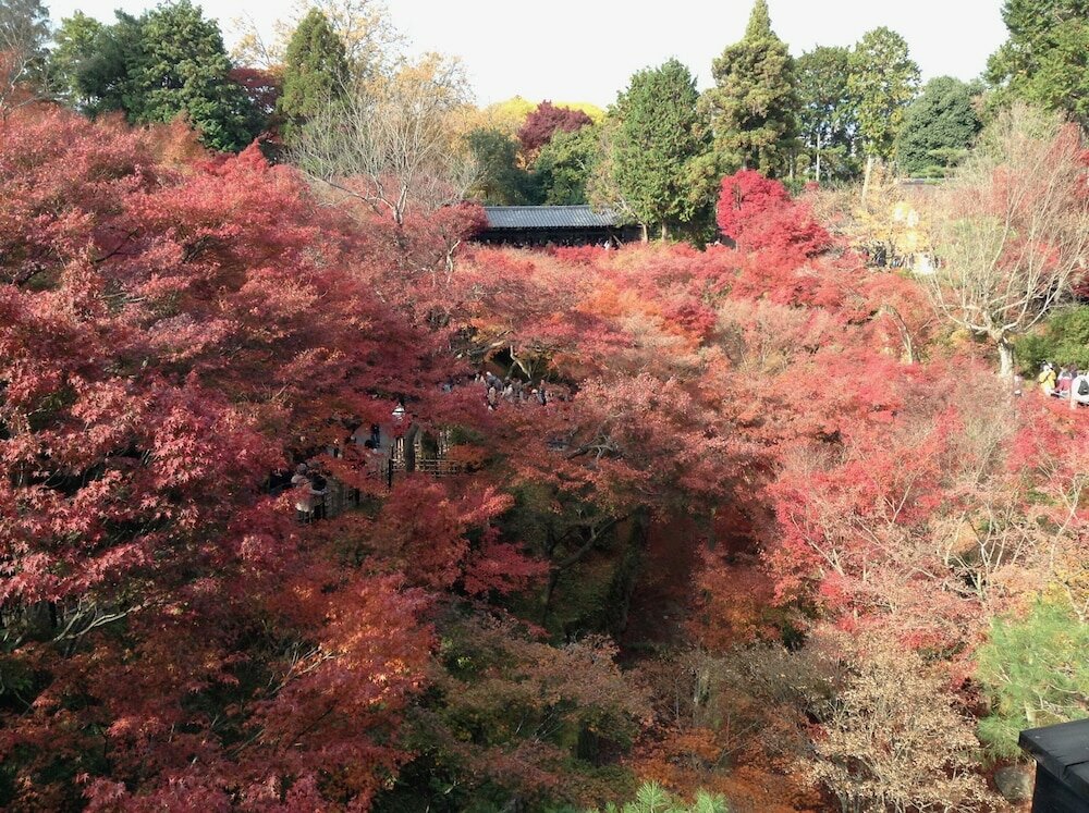 Фото Connect Inn Shichijo Kamogawa