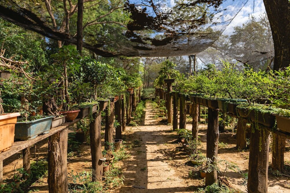 Фото Hacienda La Norma Boho Boutique Hotel