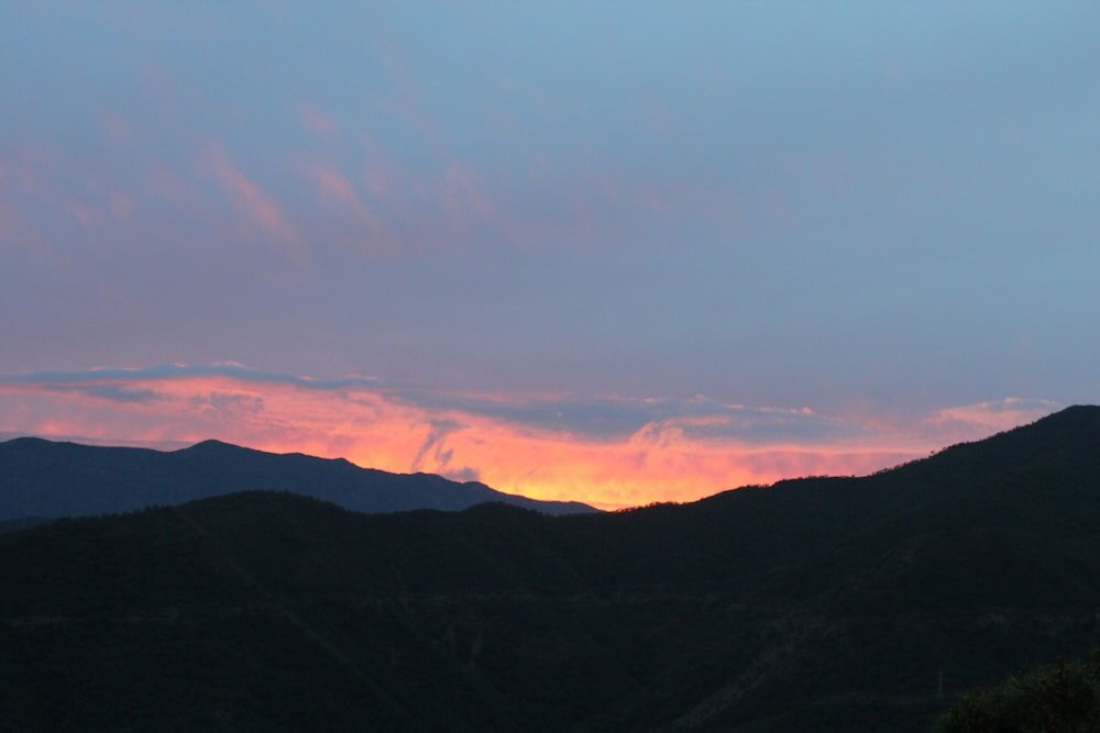 Фото Hotel Los Jarales