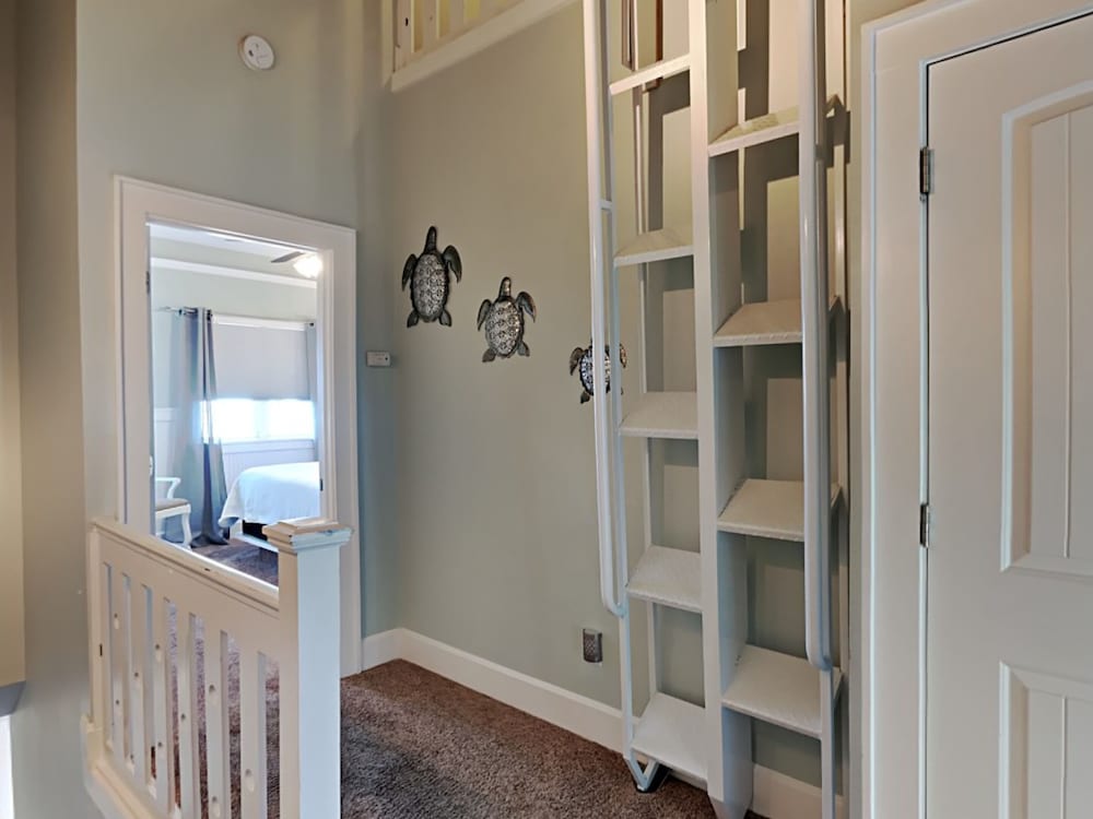 Фото Sharp Reef № 4 - Endless Summer