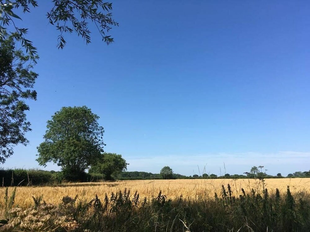 Фото Wingfield Escapes