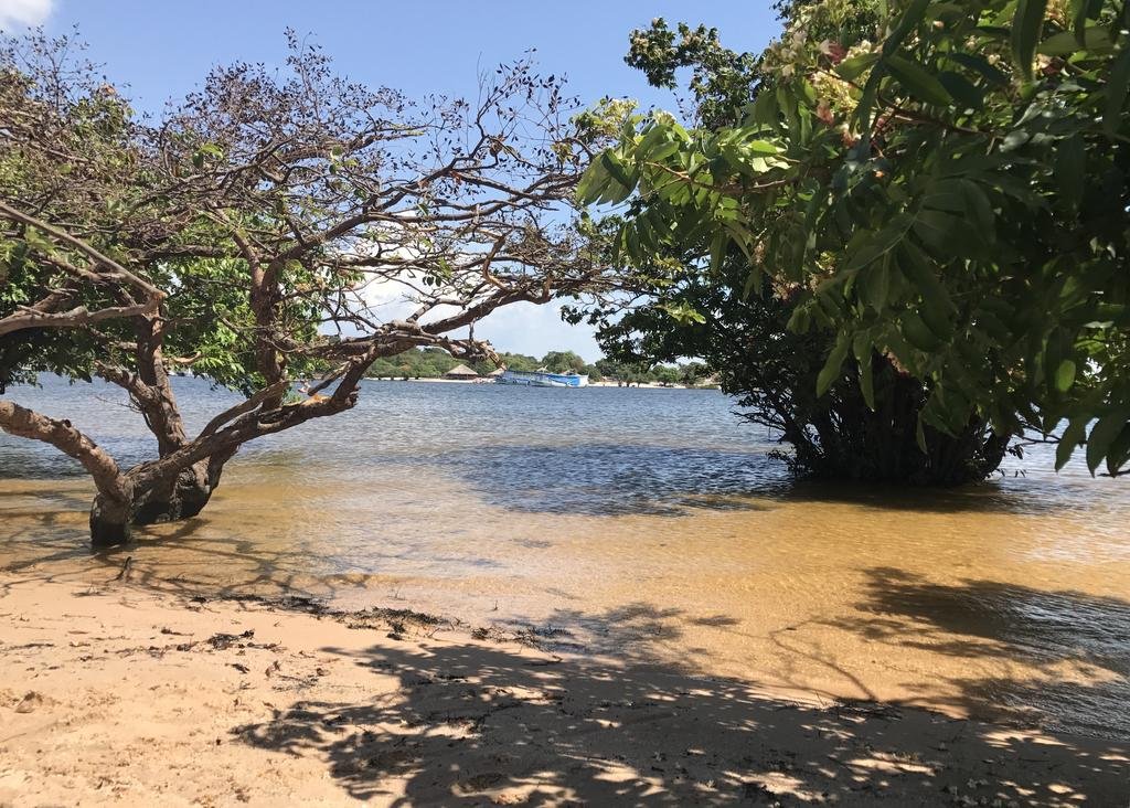 Фото Pousada do Mingote