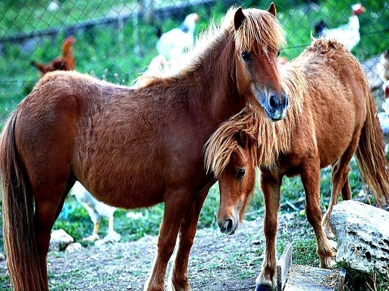 Фото I Segreti del Borgo