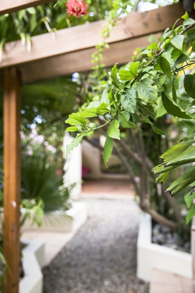 Фото Little Jungle Apartments Aruba