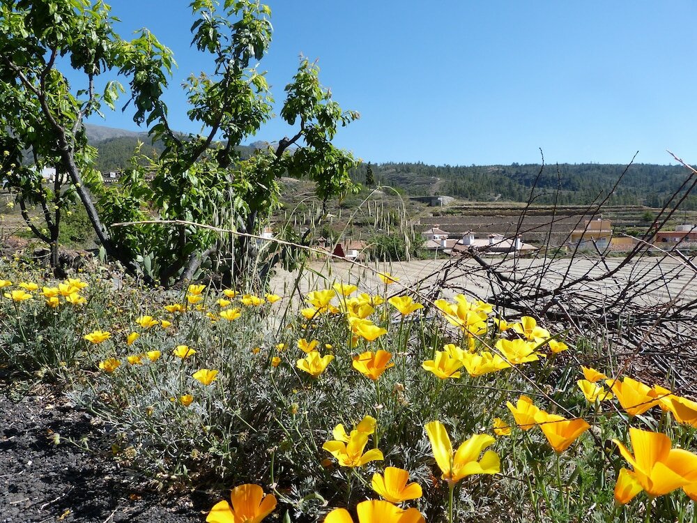 Фото Hotel Germán