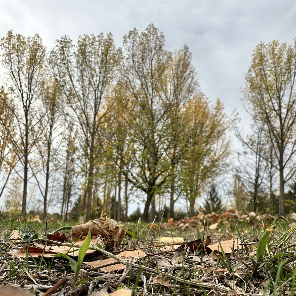 Фото Finca Paraíso Rural