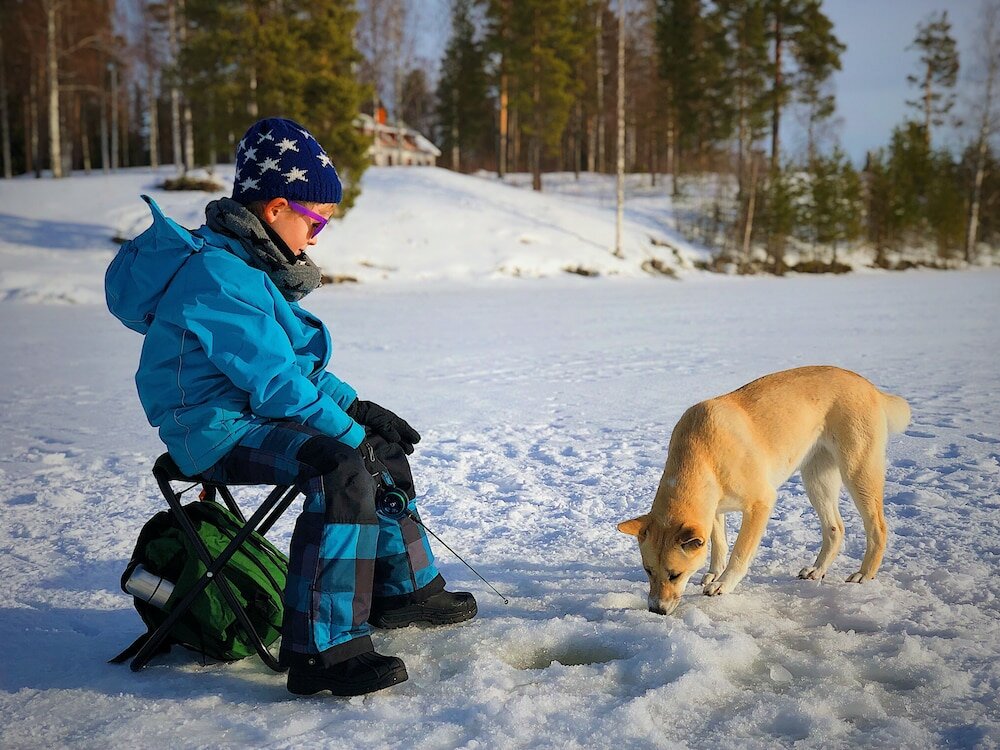 Фото Vildmarks Lodge