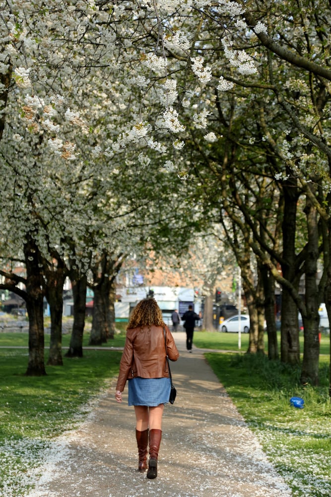 Фото Best Western Chiswick Palace & Suites