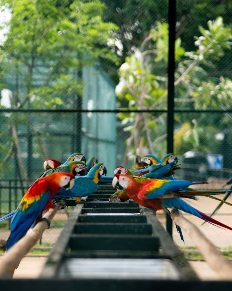 Фото Peacock Beach Resort & SPA