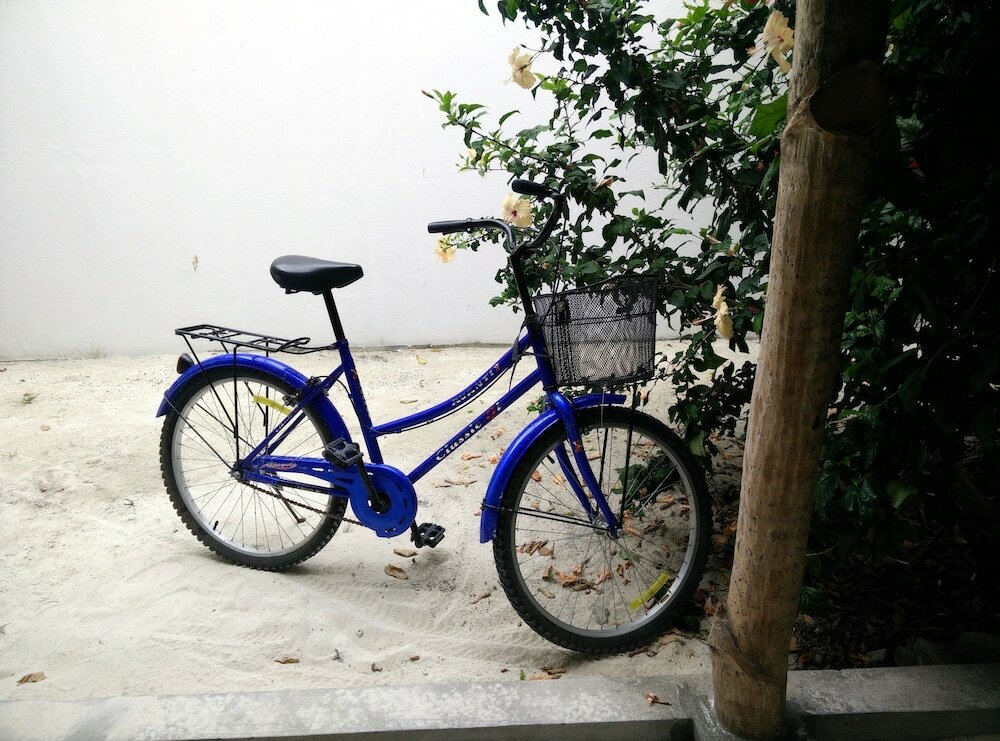 Фото Evexia Beach Collection - A Premium Wellness Retreat