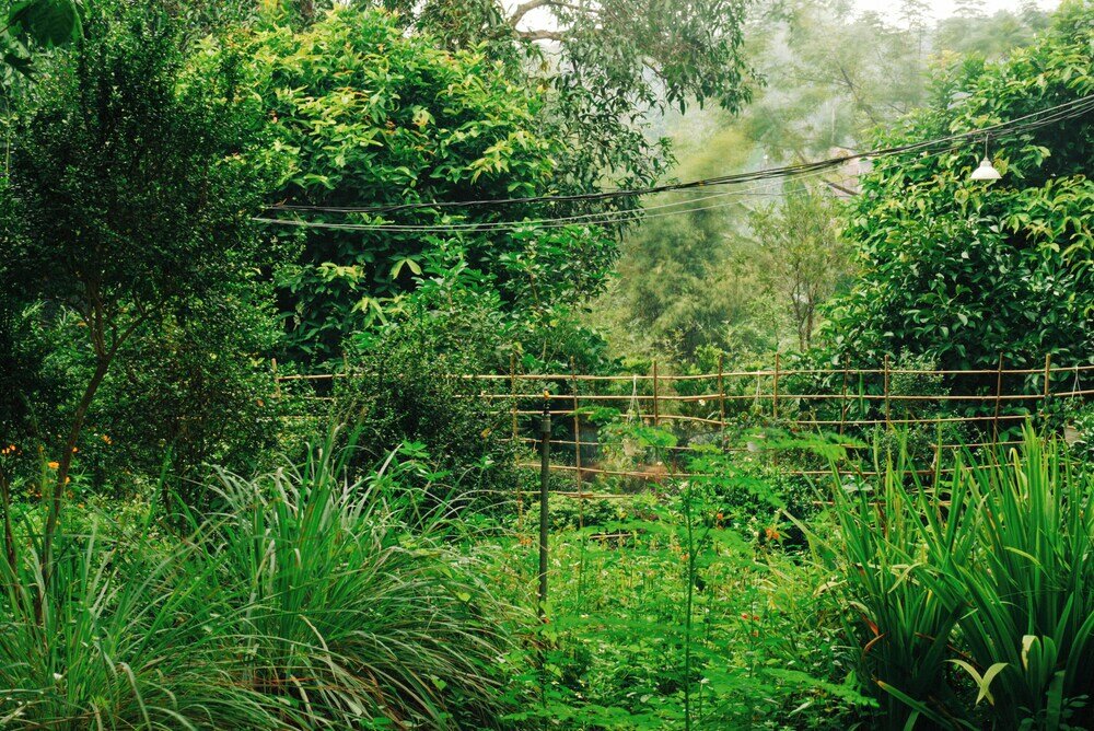 Фото Suoi Rao Ecolodge