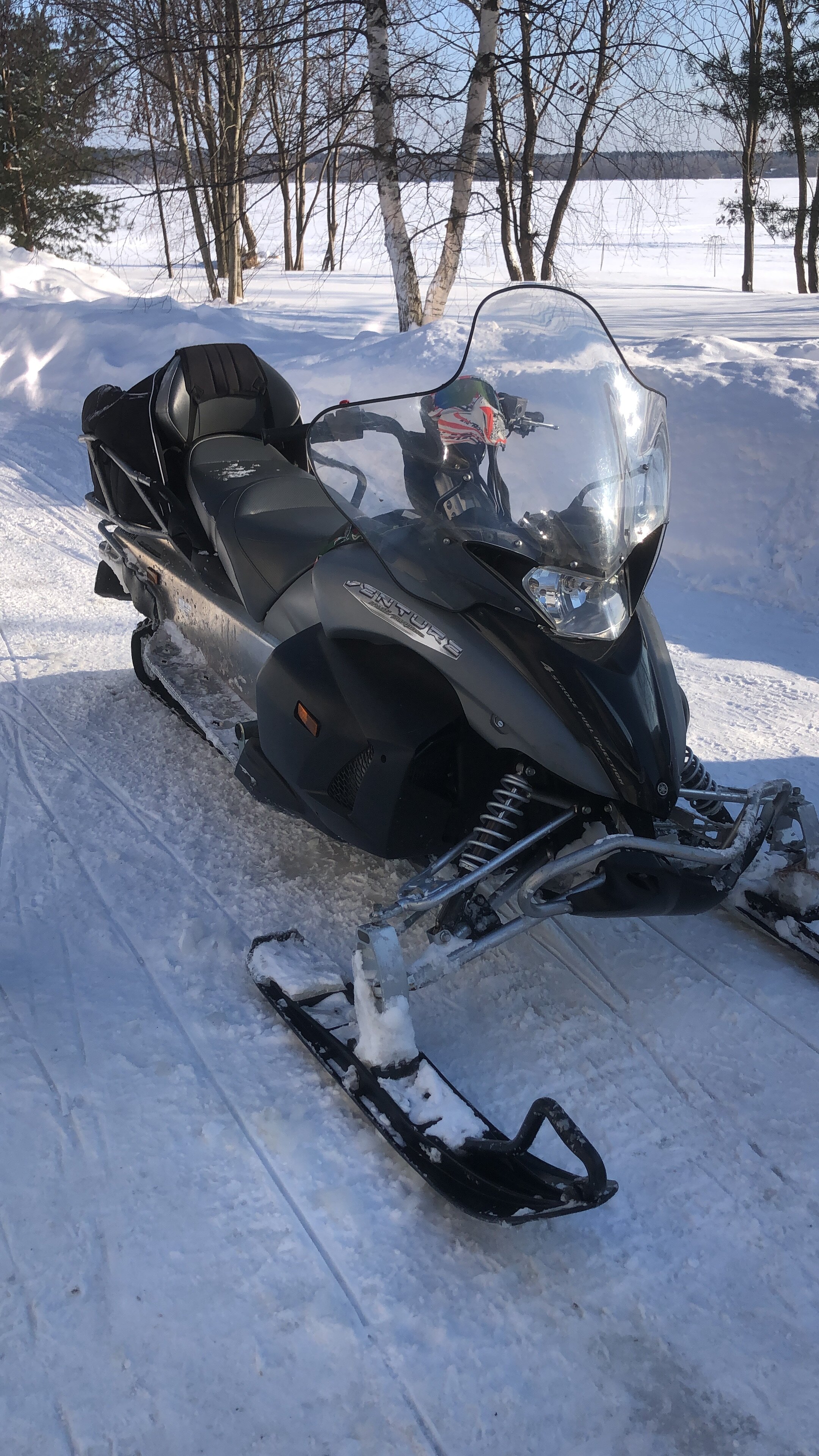 Фото Ёлки зелёные